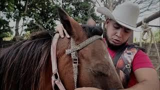 CABALLO AMIGO - OMAR CASTILLO