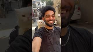 Rani ki shopping karke loot liya  #ashortaday #tranding #minivlog #cat #viralshort