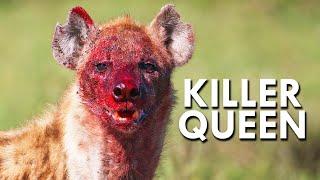 Hyenas and The Killer Queens Of The Animal World