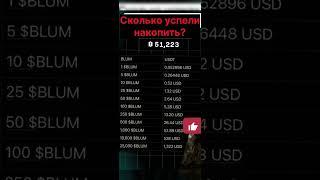 Blum - Сколько можно примерно заработать? #ton #blum