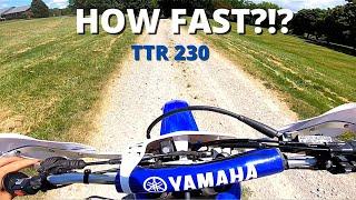 TTR 230 TOP SPEED!