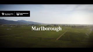 Marlborough Wine Region