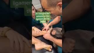 Got chronic ankle sprains and a pinch in the front of the ankle? Meet your posterior tibiotalar lig