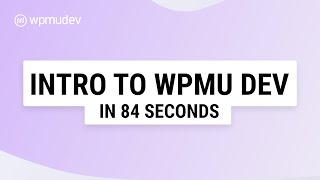 WPMU DEV - The Platform For Your WordPress Business