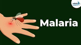 Malaria and Life Cycle of Plasmodium | Diseases | Infinity Learn NEET