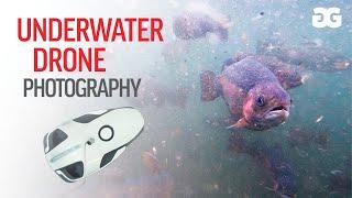 UNDERWATER DRONE PHOTOGRAPHY | An Option for wildlife photography?