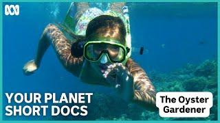 The Oyster Gardener | Your Planet Short Docs | ABC iview