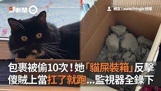 家門口包裹被偷10次！她「貓屎裝箱」反擊 傻賊上當扛了就跑｜搞笑｜寵物｜加拿大