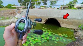 Fishing Hidden Florida PONDS For Big BASS! -- Ep.1