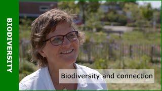 Biodiversity and connecting with nature