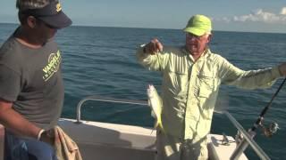 Sea Dog Charters located in Marathon, FL - television commercial for TV88 in The Florida Keys