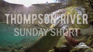 Northwest Montana's Thompson River - SUNDAY SHORT | Fly Fishing Waters