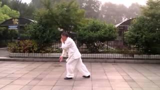 Traditional Wu Style Taijiquan by Master Lin Jianquan