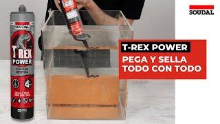 T-Rex Power: el adhesivo que pega todo con todo | Soudal España