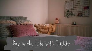 Day in the Life with Triplets l Reborn Life