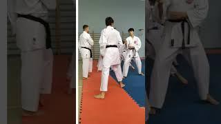 Армавир #karate #wkf