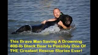 A Brave Man Saving A Drowning 400-lb Black Bear Is Possibly One Of THE Greatest Rescue Stories Ever!