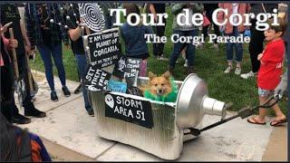 Corgi Parade Fort Collins THE BEST DAY EVER!