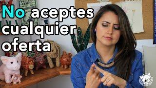 Secretos para reestructurar tu deuda de tarjeta de crédito | Sal de Deudas