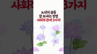 노년의 삶을 잘 보내기 위한 방법, 사회적 관계 3가지