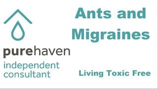 Ants and Headaches - Living Toxic Free