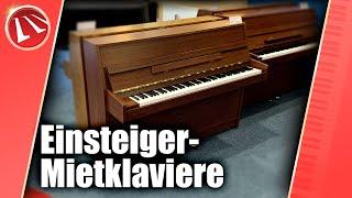 Unsere Einsteiger-Mietklaviere kurz vorgestellt - Klavier & Flügel Galerie Maiwald