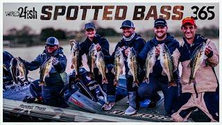 Brandon Cobb's Seasonal Guide to Spotted Bass Fishing