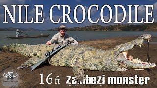 MASSIVE 16+ft Nile Crocodile - Zambezi River.Mozambique