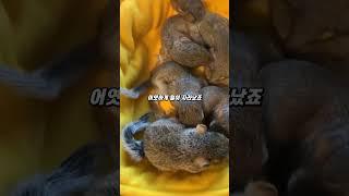 바베큐 그릴안에서 발견한 가족