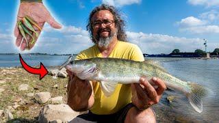 VISblad TV - een andere snoekbaars-tactiek op de Waal