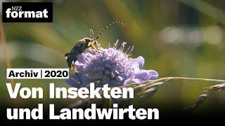 Von Insekten und Landwirten: Ideen für die Artenvielfalt (2020)