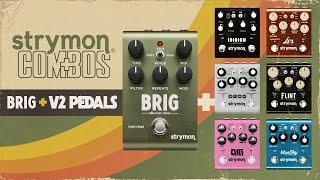 Strymon Combos - Brig And The V2 Pedals