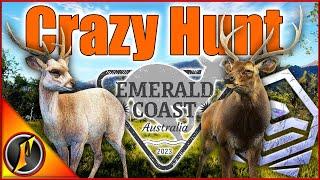 An INSANE Hunt on the Emerald Coast! | Diamond Sambar & More!