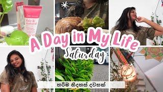 A Day In Life | තවත් ලස්සන දවසක් 