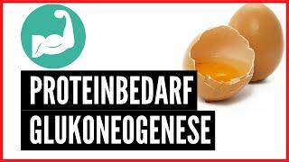 Endlich ! Der ideale Proteinbedarf | Ketogen keine Glukoneogenese durch zu viel Protein