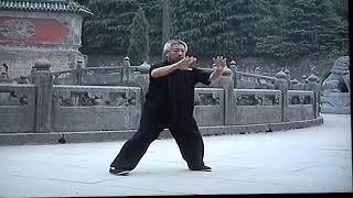 Yang  Style Taijiquan 108 form 1 of 3