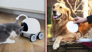 11 Innovative Pet Gadgets Every Pet Owner Should Have