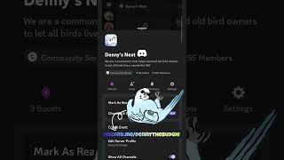 budgie owners #discord community