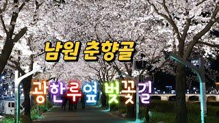 우리나라에서 최고로 아름다운 벚꽃터널/남원 춘향골 광한루 옆 벚꽃길