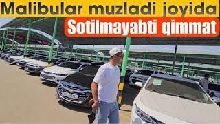 Malibular sotilmay joyida qotib qoldi Sergeli moshina bozori 2024