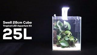 EASY Fish Tank Set-Up Guide for Beginners: Swell 28cm Cube Tropical LED Aquarium Kit 25L