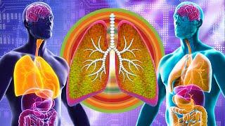 432Hz - Alpha Waves Heal The Damage In The Body + Chronic Obstructive Pulmonary Disease (COPD)