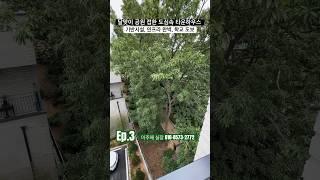 [일산 단독주택 분양] 일산 풍동. 도심속 공원을 끼고 있는 대단지 단독주택 단지  탑클라우드포레  Ep.3 #shorts