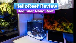 Beginner Nano Reef Setup  - Hello Reef Saltwater Aquarium