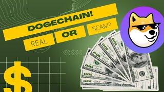 DogeChain! Real or Scam?