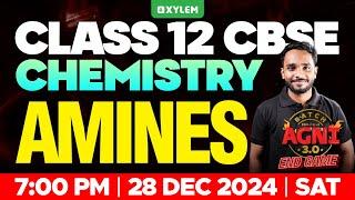 Class 12 CBSE Chemistry | Amines | Xylem 12 CBSE