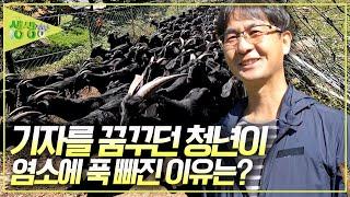 꿈많던 정치외교학과 학생! 450마리 염소의 아빠가 되다 [2TV 생생정보] | KBS 20241007 방송