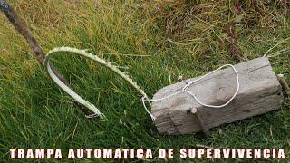 TRAMPA PARA PALOMAS, CONEJOS, CODORNIZ,  EFECTIVA Y FACIL TUTORIAL - YMX SUPERVIVENCIA