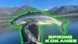 Spring KOKANEE | Catching ONE Of The Best EATING Fish In The PNW