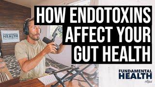 How endotoxins affect your gut health